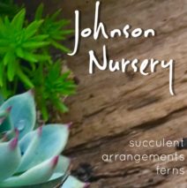 Johnson Nursery