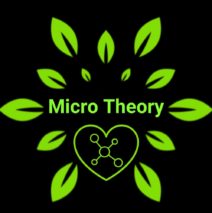 Micro Theory